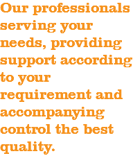 Our professionals serving your needs, providing support according to your requirement and accompanying control the best quality.